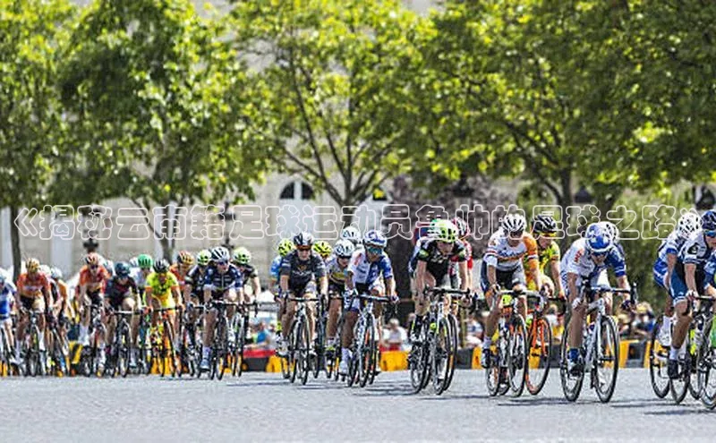 EON4代理轻美电器