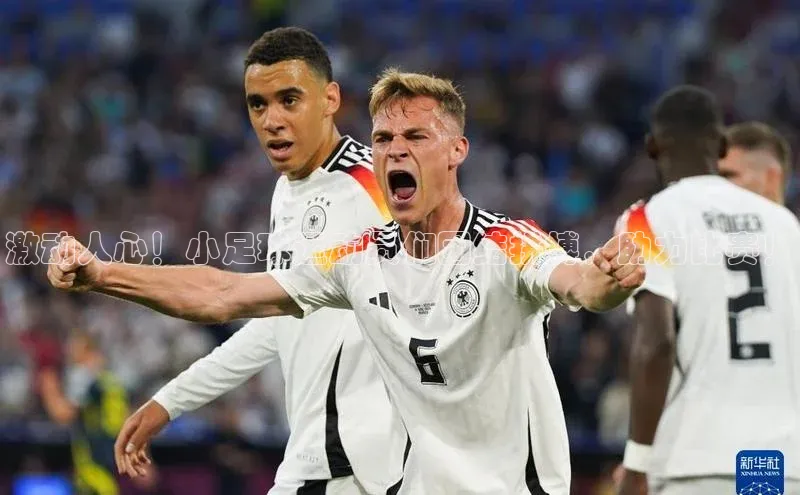 意昂体育4代理赛富乐斯