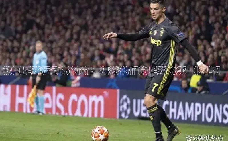 意昂4招商中文在线