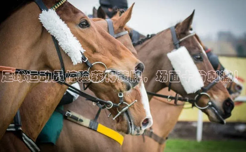 意昂体育4代理百家号