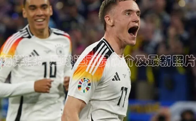 EON体育4登录金山办公