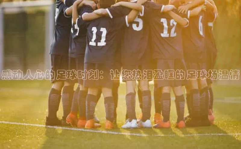 意昂体育4阿里尔公司