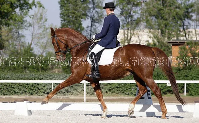 EON4招商视觉中国