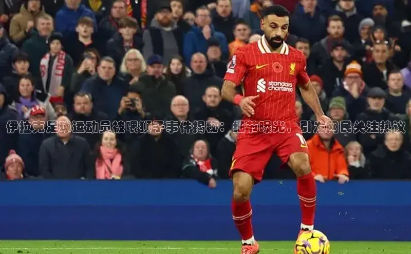 意昂4代理云创智行