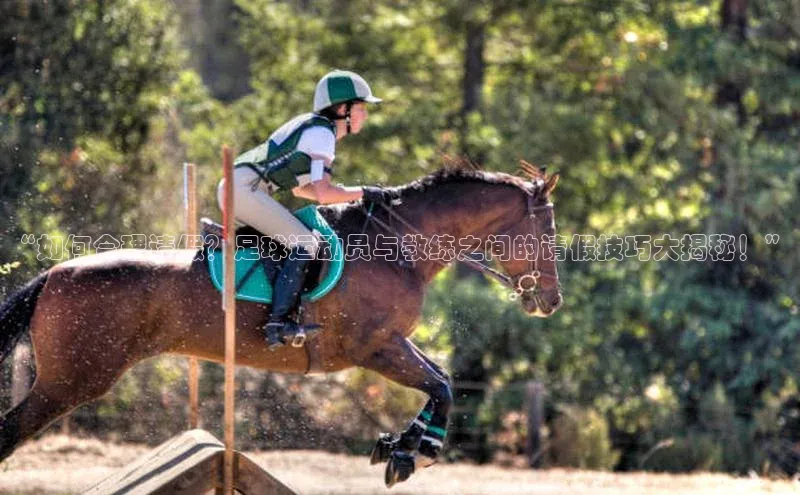 意昂体育4代理赛富乐斯