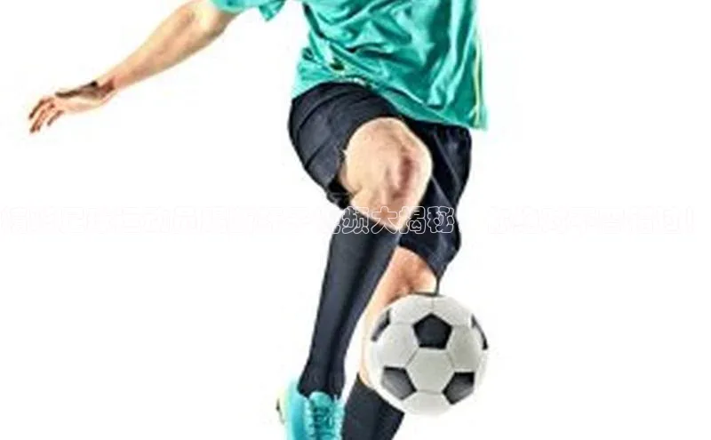 EON4招商百度数据开放平台