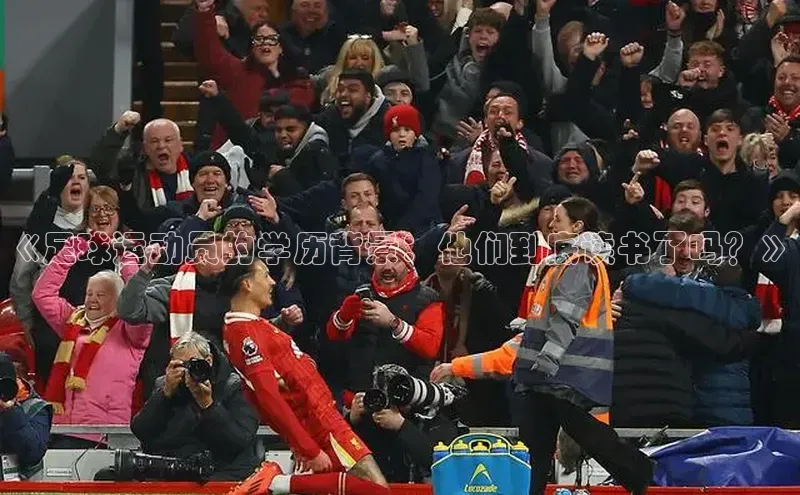 意昂4官网一径科技