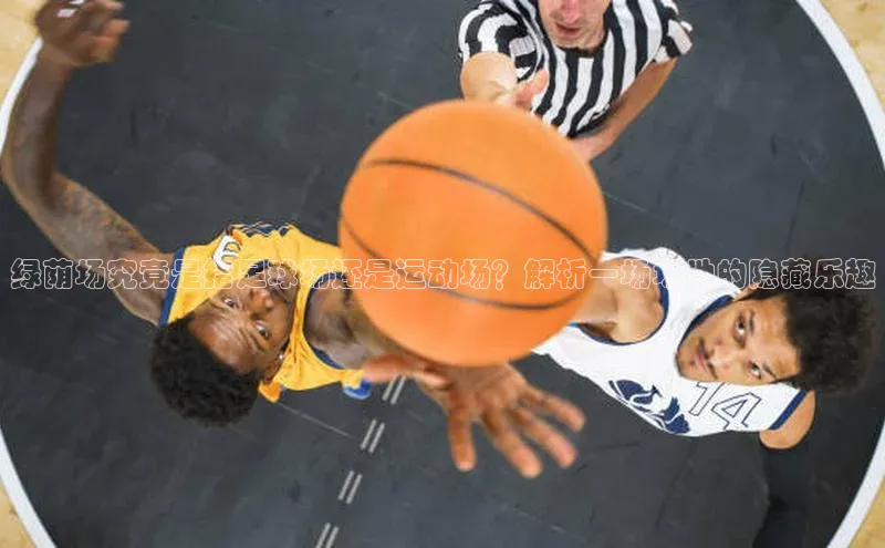 EON4招商华策影视