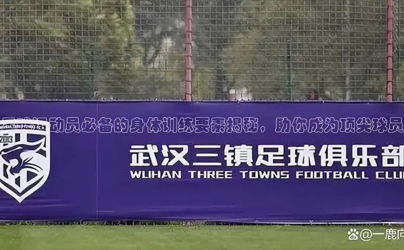 意昂4代理云创智行