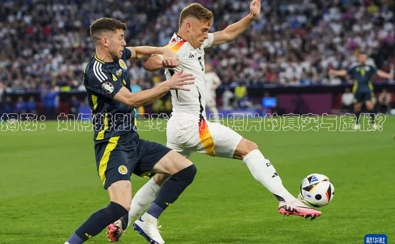 意昂体育4代理赛富乐斯