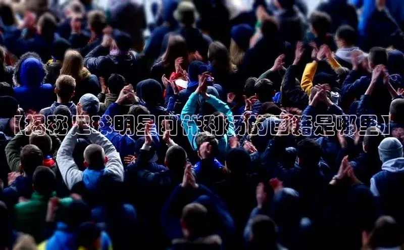 意昂体育4代理赛富乐斯