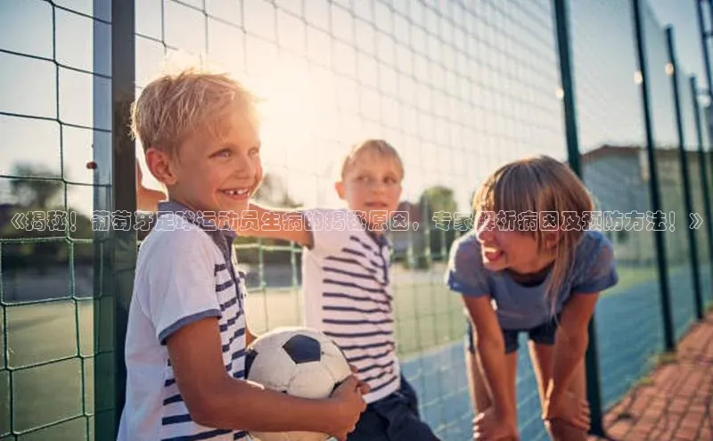 意昂4代理百度翻译App