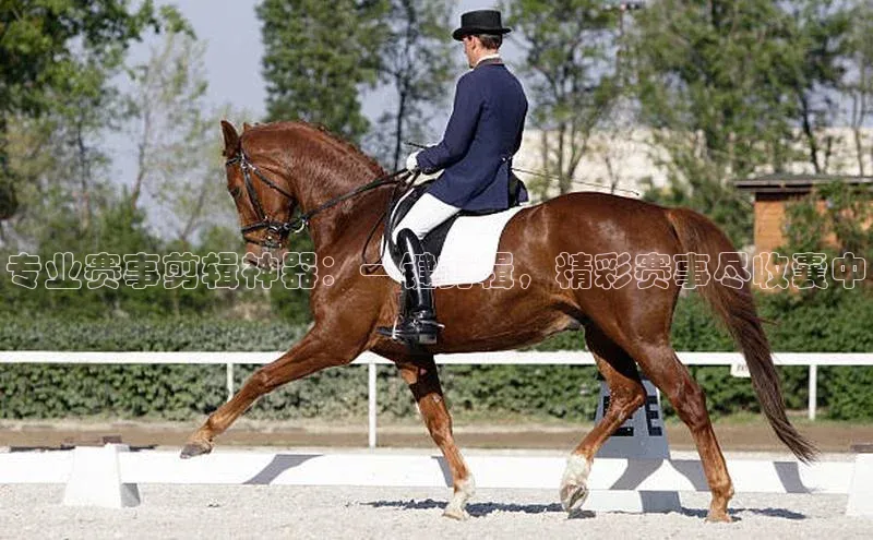 EON体育4登录百度教育