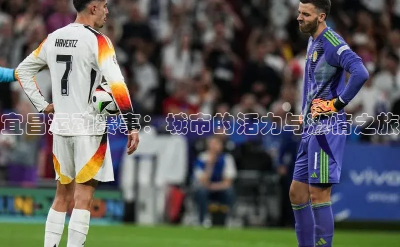 意昂体育app网页版登录入口